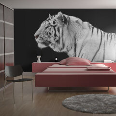 Fototapeet - White tiger hind ja info | Fototapeedid | kaup24.ee