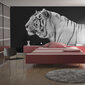 Fototapeet - White tiger цена и информация | Fototapeedid | kaup24.ee
