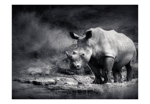 Fototapeet - Rhinoceros lost in reverie цена и информация | Фотообои | kaup24.ee