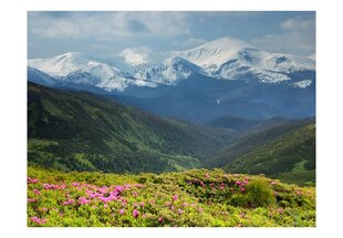 Fototapeet - Spring mountain landscape цена и информация | Фотообои | kaup24.ee