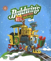 Baldwin's Big Christmas Delivery цена и информация | Книги для подростков и молодежи | kaup24.ee