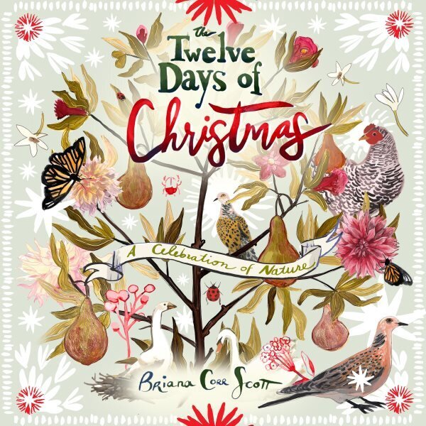 Twelve Days of Christmas: A Celebration of Nature hind ja info | Väikelaste raamatud | kaup24.ee