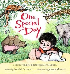 One Special Day: A Story for Big Brothers and Sisters цена и информация | Книги для подростков и молодежи | kaup24.ee