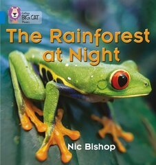 Rainforest at Night: Band 04/Blue цена и информация | Книги для подростков и молодежи | kaup24.ee