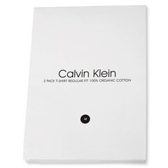 Calvin Klein T-särk meestele 8719855032525, erinevad värvid, 2 tk цена и информация | Мужские футболки | kaup24.ee