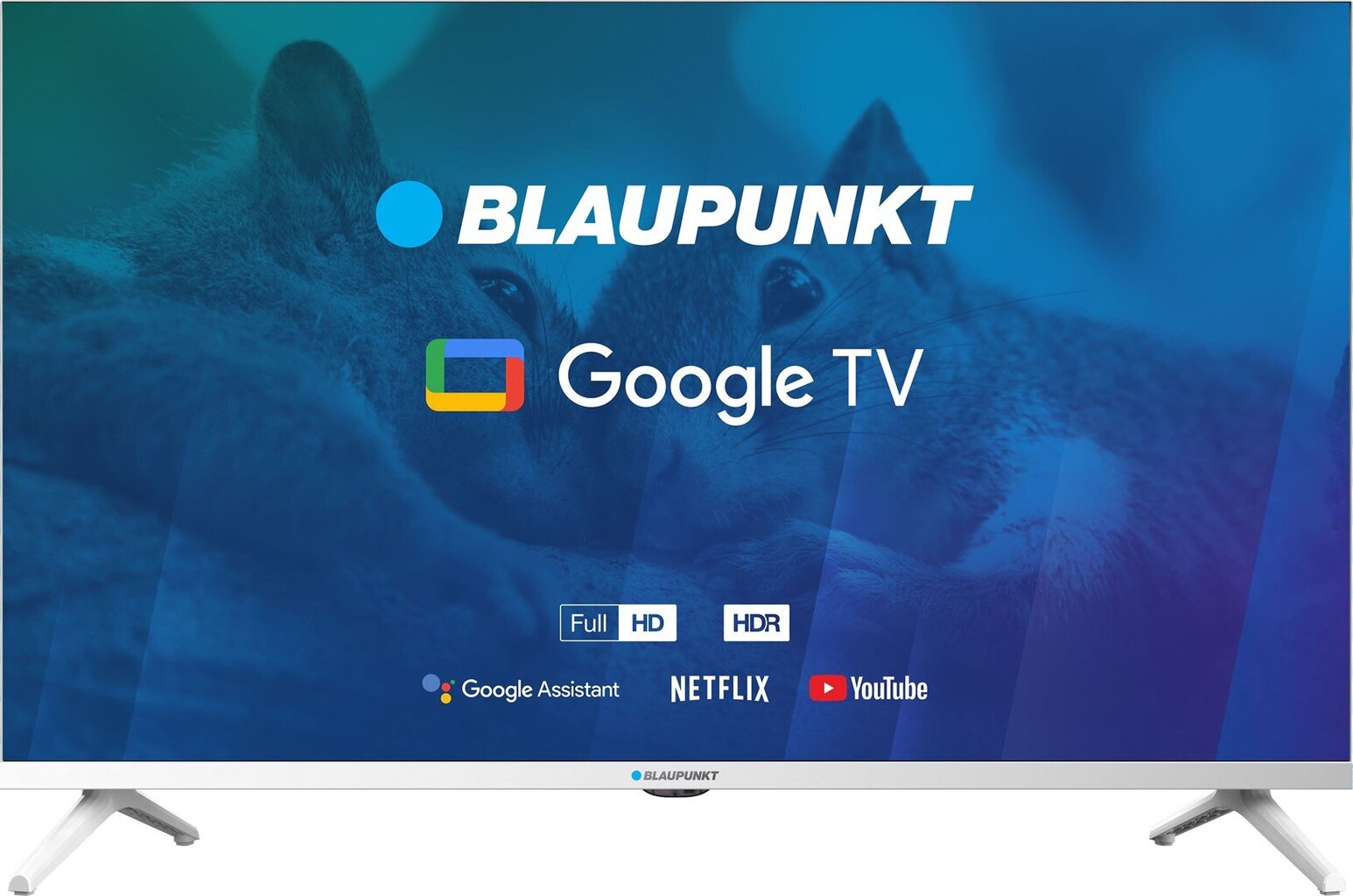 Blaupunkt 32FBG5010S цена и информация | Telerid | kaup24.ee