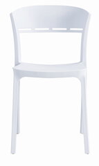 Tool Coco, 2 tk, valge hind ja info | Söögilaua toolid, köögitoolid | kaup24.ee