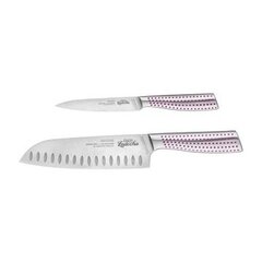 Набор ножей в коробке 4swiss Perfect Knife, 2 шт. цена и информация | Ножи и аксессуары для них | kaup24.ee