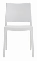 Комплект из двух белых стульев цена и информация | Стулья для кухни и столовой | kaup24.ee