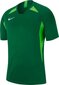 Nike T-särk poistele JR Legend SS Jersey 302, 128 cm, roheline цена и информация | Jalgpalli varustus ja riided | kaup24.ee