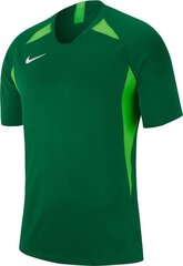 Nike T-särk poistele JR Legend SS Jersey 302, 122 cm, roheline hind ja info | Jalgpalli varustus ja riided | kaup24.ee
