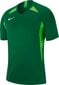 Nike T-särk poistele JR Legend SS Jersey 302, 122 cm, roheline цена и информация | Jalgpalli varustus ja riided | kaup24.ee