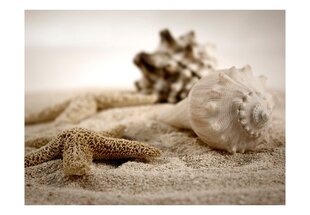 Fototapeet - Beach and shell цена и информация | Фотообои | kaup24.ee