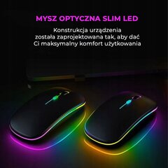 Беспроводная оптическая мышь с эстетически привлекательной светодиодной RGB-подсветкой цена и информация | Мыши | kaup24.ee