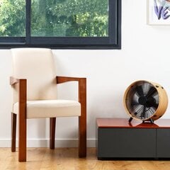 Ventilaator Stadler Form Otto Bamboo O-009E цена и информация | Вентиляторы | kaup24.ee