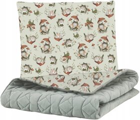 Babymam laste tekk ja padi, 100x75 cm/35x30 cm цена и информация | Детское постельное бельё | kaup24.ee