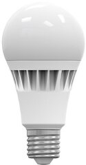 Omega LED-lamp E27 18W 6000K (43362) цена и информация | Лампочки | kaup24.ee