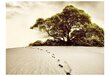 Fototapeet - Tree in the desert цена и информация | Fototapeedid | kaup24.ee