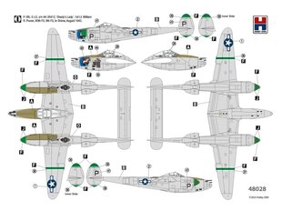 Hobby 2000 - Lockheed P-38L Ligthning 80th Fighter Squadron, 1/48, 48028 цена и информация | Конструкторы и кубики | kaup24.ee