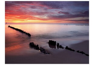 Fototapeet - Sunrise over the Baltic Sea цена и информация | Фотообои | kaup24.ee