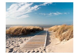 Fototapeet - North Sea beach, Langeoog цена и информация | Фотообои | kaup24.ee