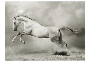 Fototapeet - Wild Stallion цена и информация | Фотообои | kaup24.ee