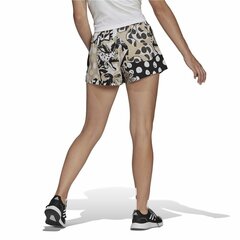 Спортивные шорты Adidas Run Short SMU Женщина Чёрный 4" цена и информация | Спортивная одежда женская | kaup24.ee