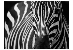 Fototapeet - White with black stripes цена и информация | Фотообои | kaup24.ee