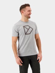 Мужская футболка Didriksons, серого цвета цена и информация | Мужские футболки | kaup24.ee