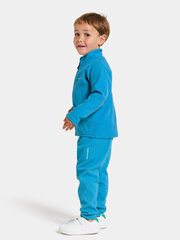 Детский шерстяной свитер Didriksons MONTE, темно-синий цвет цена и информация | Свитеры, жилетки, пиджаки для мальчиков | kaup24.ee