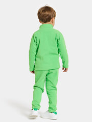 Детский шерстяной свитер Didriksons MONTE, светло-зеленый цвет цена и информация | Свитеры, жилетки, пиджаки для мальчиков | kaup24.ee