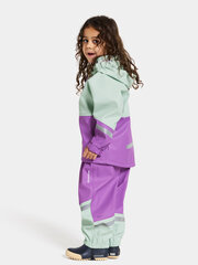 Didriksons детский резиновый комплект WATERMAN 10, мятный зелено-фиолетовый цвет цена и информация | Непромокаемая одежда для детей | kaup24.ee