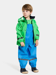 Didriksons детский резиновый комплект SLASKEMAN 2, зелено-синий цвет цена и информация | Непромокаемая одежда для детей | kaup24.ee