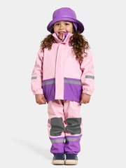 Didriksons laste soe kummikomplekt BOARDMAN, roosa-lilla цена и информация | Непромокаемая одежда для детей | kaup24.ee