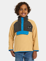 Детский шерстяной свитер Didriksons YOKTO, бежевый цвет цена и информация | Свитеры, жилетки, пиджаки для мальчиков | kaup24.ee
