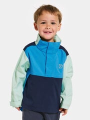 Didriksons детская куртка весна-осень LINGON, темно-синий-мятный цвет цена и информация | Куртки для мальчиков | kaup24.ee