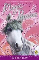 Magic Ponies: A Special Wish hind ja info | Noortekirjandus | kaup24.ee