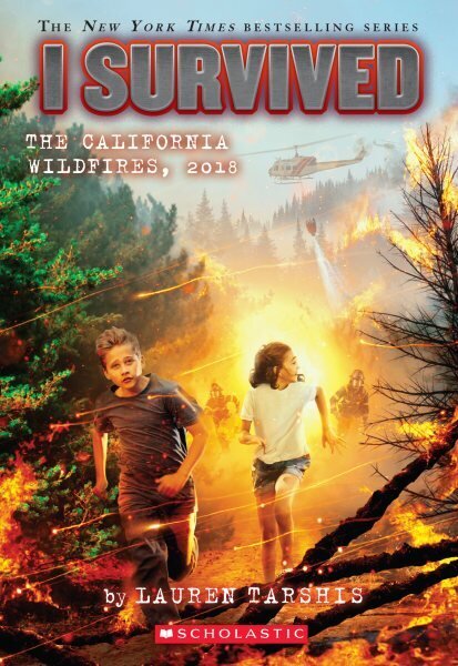 I Survived the California Wildfires, 2018 (I Survived #20): Volume 20 цена и информация | Noortekirjandus | kaup24.ee