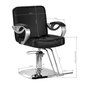 hair system za31 juukselõikuri tool, must цена и информация | Ilusalongi mööbel | kaup24.ee
