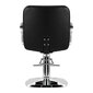 hair system za31 juukselõikuri tool, must hind ja info | Ilusalongi mööbel | kaup24.ee