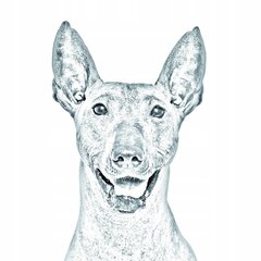 Голая мексиканская собака Стойка для ручек, свечи цена и информация | Канцелярские товары | kaup24.ee