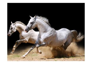Fototapeet - Galloping horses on the sand hind ja info | Fototapeedid | kaup24.ee