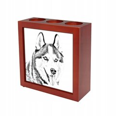 Подставка для ручек Clydesdale Candle holder с художественным оформлением цена и информация | Смягчает воду и защищает Вашу посудомоечную машину от извести. | kaup24.ee