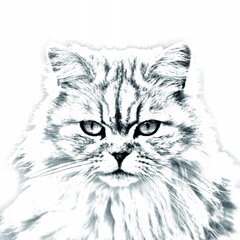 Подставка для ручки британской длинношерстной кошки цена и информация | Канцелярские товары | kaup24.ee