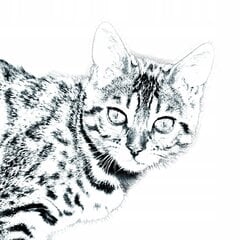 Бенгальская кошка Подставка для ручки, подсвечник цена и информация | Канцелярские товары | kaup24.ee