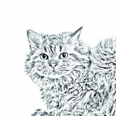 Длинношерстная кошка селкирк-рекс Подставка для ручек цена и информация | Канцелярские товары | kaup24.ee