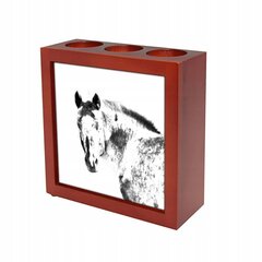 Подставка для ручек Clydesdale Candle holder с художественным оформлением цена и информация | Смягчает воду и защищает Вашу посудомоечную машину от извести. | kaup24.ee