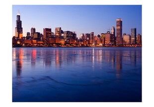 Fototapeet - Icy Downtown Chicago hind ja info | Fototapeedid | kaup24.ee