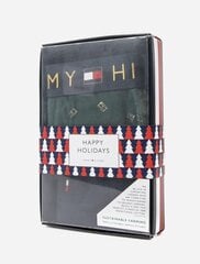 Подарочный набор Tommy Hilfiger,  зеленый/синий цена и информация | Мужские трусы | kaup24.ee