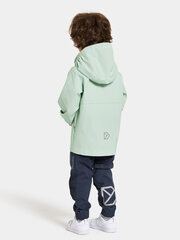 Детская весенне-осенняя куртка Didriksons HALLON, мятно-зеленый цвет цена и информация | Куртки для мальчиков | kaup24.ee